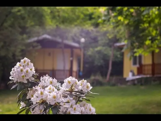 Bungalov, 1 Yatak Odası, Teras