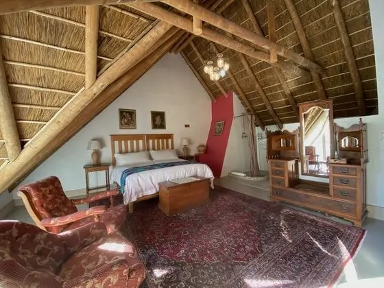Deluxe Tek Büyük Yataklı Oda (Thatch room)