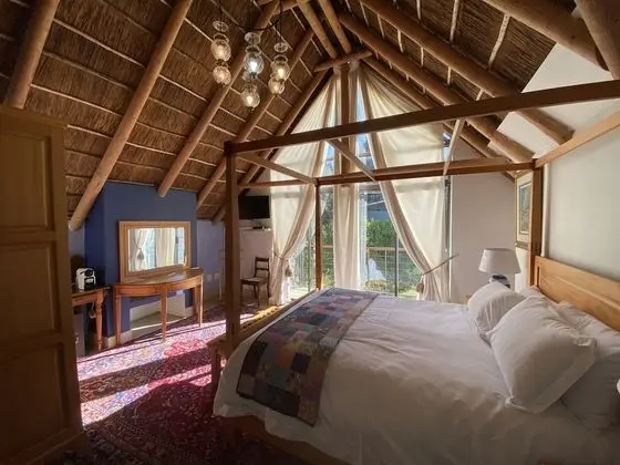 Deluxe Tek Büyük Yataklı Oda (Thatch room)