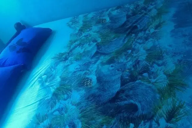 Tek Büyük Yataklı Oda, 1 Çift Kişilik Yatak, Özel Banyo