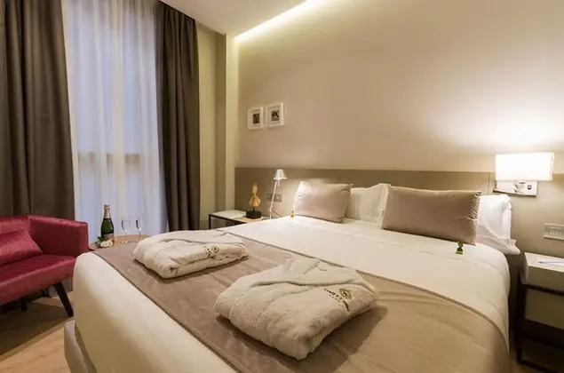 Standard Tek Büyük Yataklı Oda, 1 Çift Kişilik veya 2 Tek Kişilik Yatak