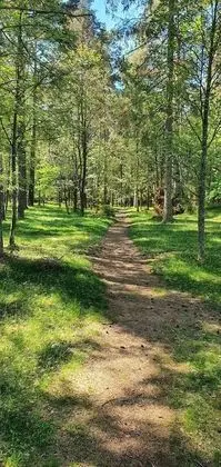 Kulübe, 2 Yatak Odası, Şömine