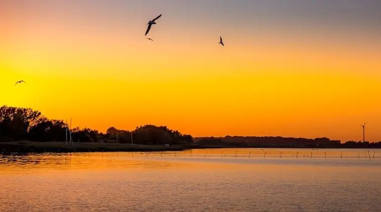 Floating-Bungalow #5