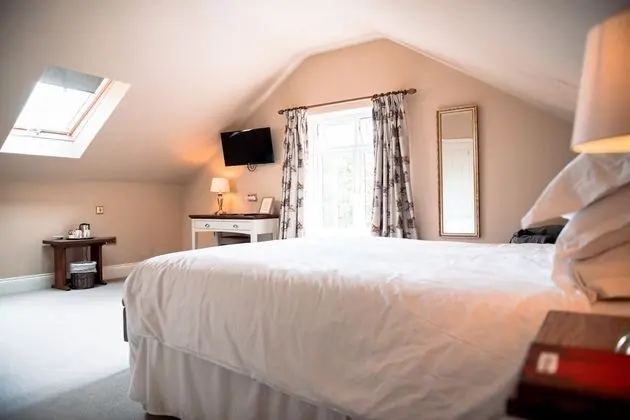 Deluxe Süit, Banyolu/Duşlu (with Sofa Bed)