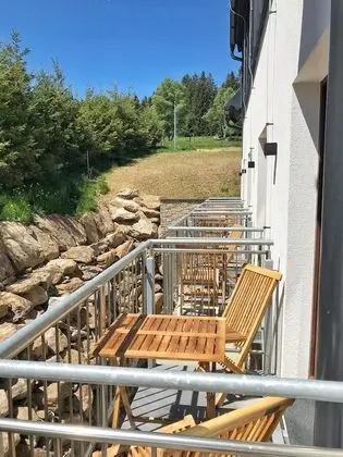 Standard Tek Büyük veya İki Ayrı Yataklı Oda, Balkon