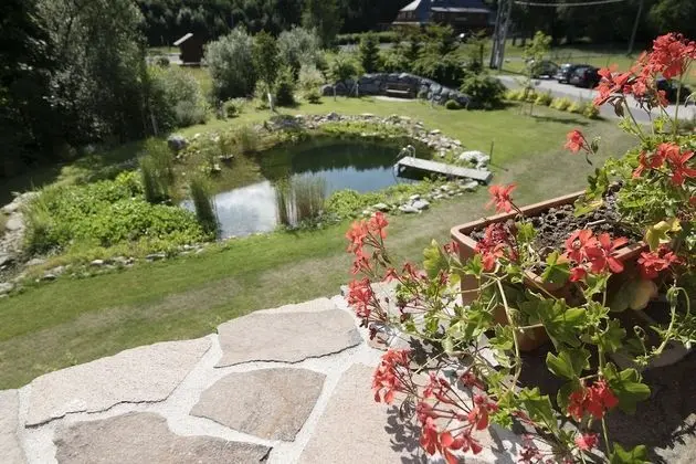 Basic Tek Büyük Yataklı Oda (Swimming pool Access)