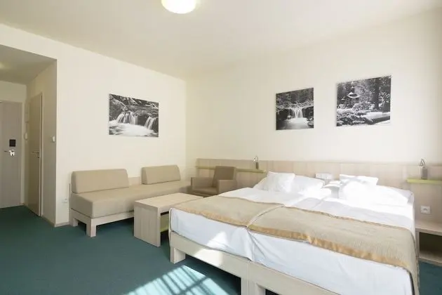 Tek Büyük Yataklı Oda (Swimming pool Access)