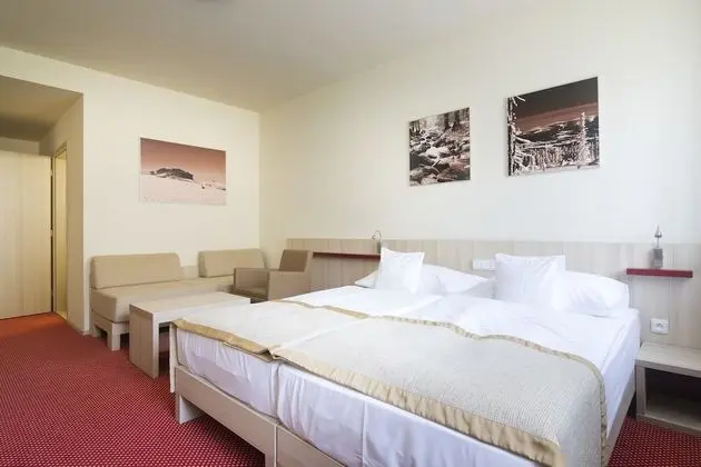 Tek Büyük Yataklı Oda (Swimming pool Access)