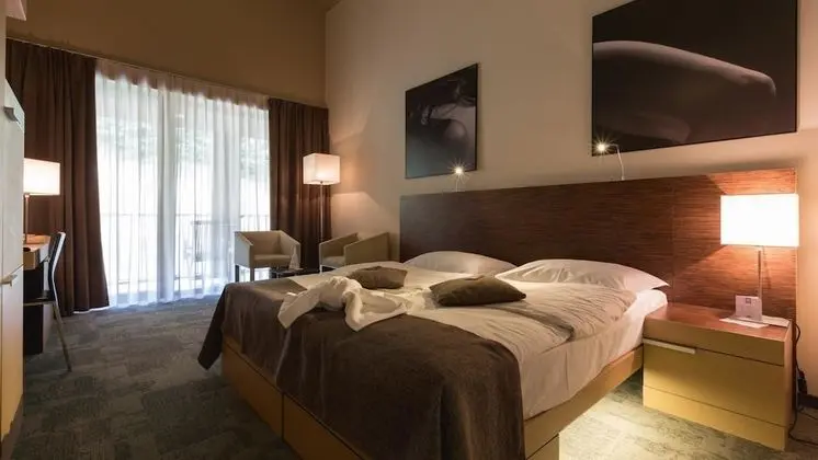 Standard Double or Twin Room ( Forest View )