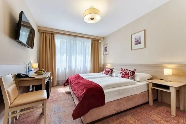 Standard Tek Büyük Yataklı Oda (with 60 minutes Water world Access)