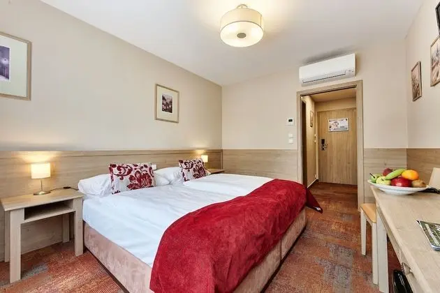 Standard Tek Büyük Yataklı Oda (with 60 minutes Water world Access)