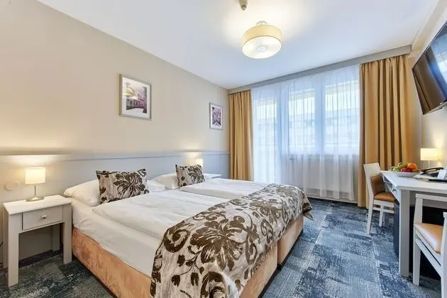 Standard Tek Büyük Yataklı Oda (with 60 minutes Water world Access)