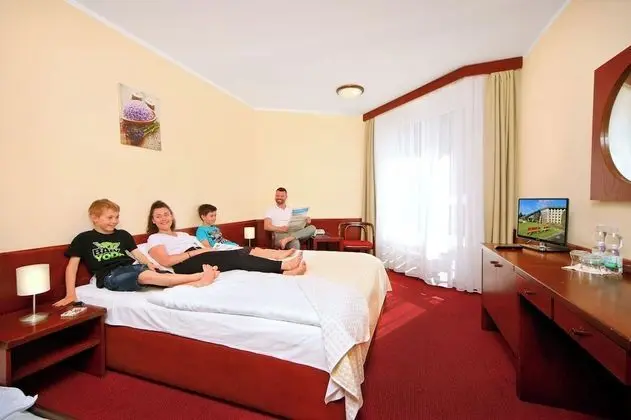 Standard Tek Büyük Yataklı Oda