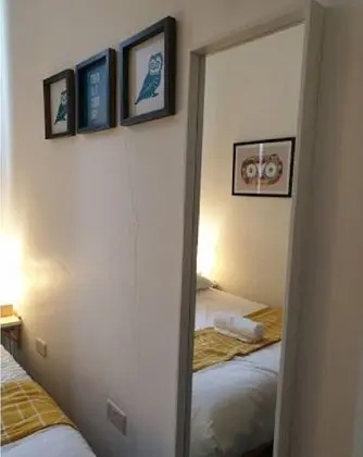 Standard Tek Büyük Yataklı Oda, Banyolu/Duşlu