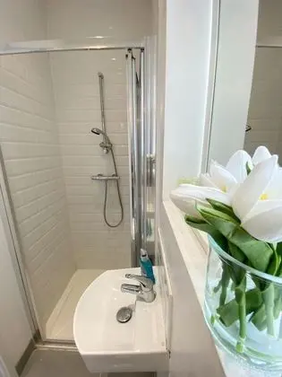 Standard Tek Büyük Yataklı Oda, Banyolu/Duşlu
