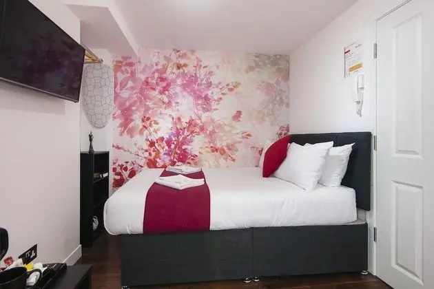 Deluxe Tek Kişilik Oda, 1 Çift Kişilik Yatak