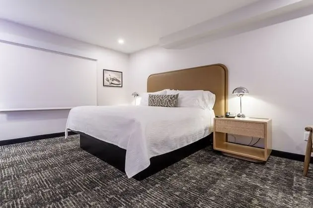 Deluxe Oda, 1 En Büyük (King) Boy Yatak, Sigara İçilmez