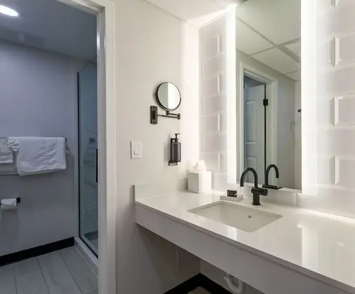 Deluxe Oda, 1 En Büyük (King) Boy Yatak, Sigara İçilmez