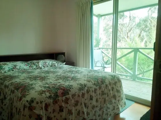 Grevillea cottage