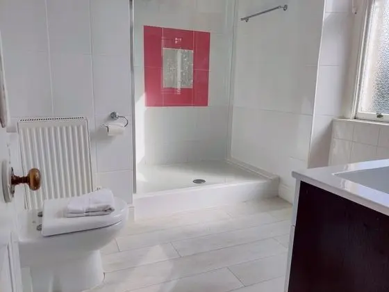 Tek Büyük Yataklı Oda, 1 Çift Kişilik Yatak (Four Poster Bed)