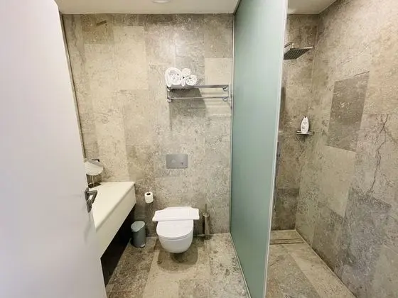 Superior Tek Büyük Yataklı Oda, Şehir Manzaralı
