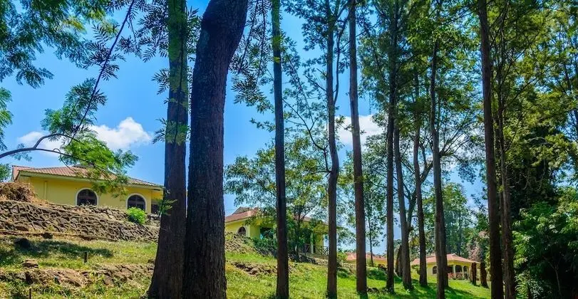 Standard Tek Büyük veya İki Ayrı Yataklı Oda, Bahçe Manzaralı