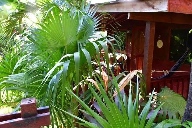 Bungalow, 2 Queen Beds