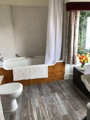 Deluxe Tek Büyük Yataklı Oda, Banyolu/Duşlu (Room 1)