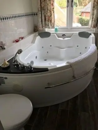 Deluxe Tek Büyük Yataklı Oda, Banyolu/Duşlu (Room 2)
