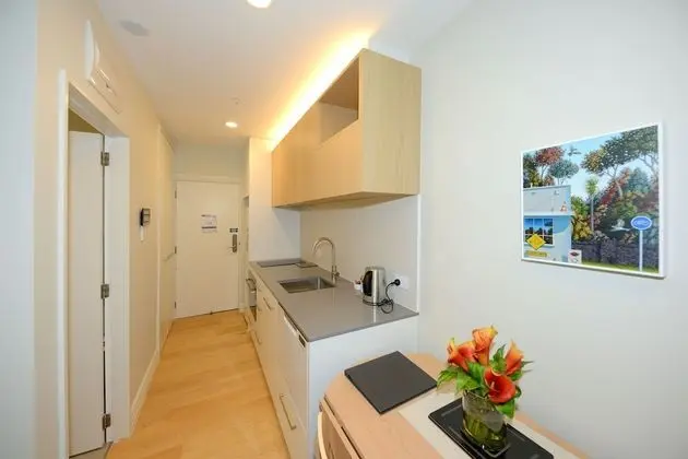 Superior Stüdyo (Apartment)