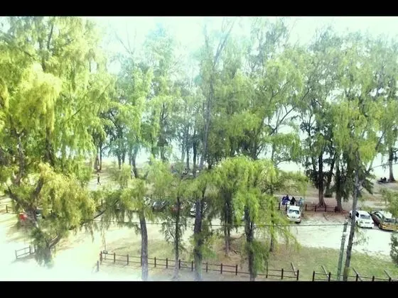 Apart Daire, 3 Yatak Odası, Engellilere Uygun, Balkon