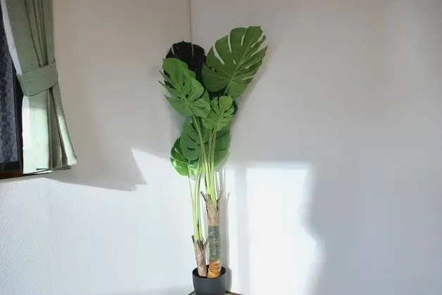 Oda, 2 Yatak Odası (A)