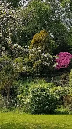 Family Oda, Birden Çok Yatak, Bahçe Manzaralı