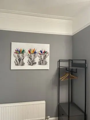 Deluxe Tek Büyük Yataklı Oda (Room 3)