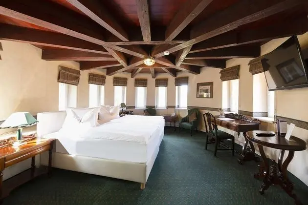 Premium Tek Büyük Yataklı Oda, Park Manzaralı, Bahçeli