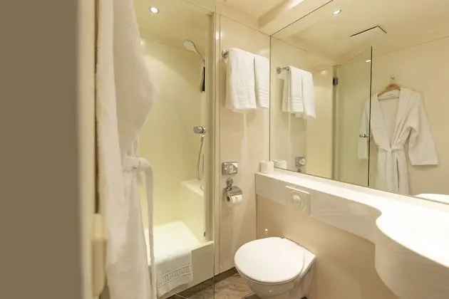 Premium Tek Büyük Yataklı Oda, Park Manzaralı, Bahçeli