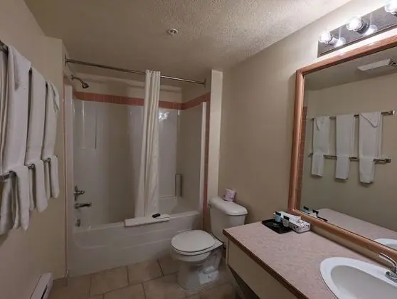 Junior Süit, Birden Çok Yatak (2 Room)