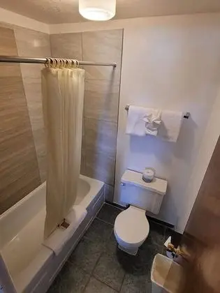 Standard Tek Kişilik Oda, 1 En Büyük (King) Boy Yatak, Buzdolabı ve Mikrodalga, Dağ Manzaralı