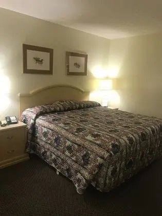 Deluxe Tek Kişilik Oda, 1 En Büyük (King) Boy Yatak, Engellilere Uygun, Sigara İçilmez