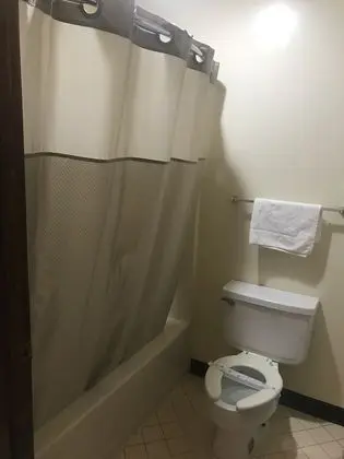 Deluxe Tek Kişilik Oda, 1 En Büyük (King) Boy Yatak, Engellilere Uygun, Sigara İçilmez