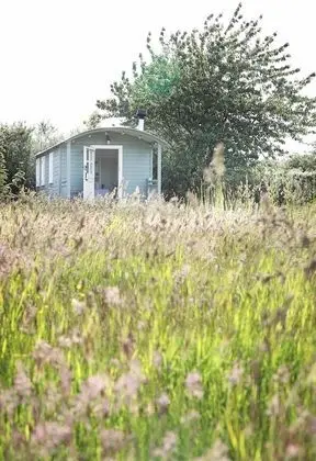 Luxury Kulübe, Banyolu/Duşlu (with Shower)