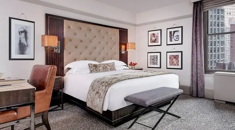 Luxury Oda, 1 Büyük (Queen) Boy Yatak, Engellilere Uygun
