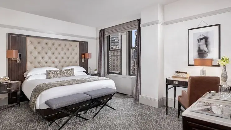 Luxury Oda, 1 En Büyük (King) Boy Yatak