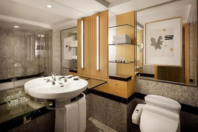 Deluxe Oda, 2 Tek Kişilik Yatak, Havuz Kullanımı, Şehir Manzaralı