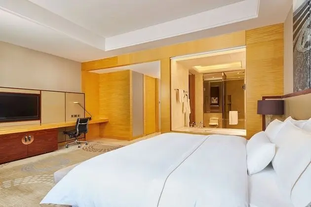 Club Oda, 1 En Büyük (King) Boy Yatak, Şehir Manzaralı