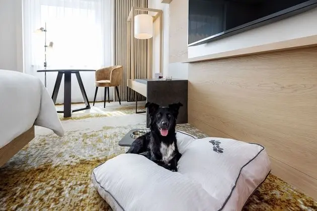 Westin, Grand Süit, 1 Yatak Odası