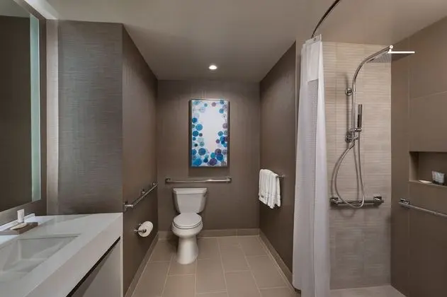 Oda, 1 En Büyük (King) Boy Yatak (Mobility Accessible, Roll-In Shower)