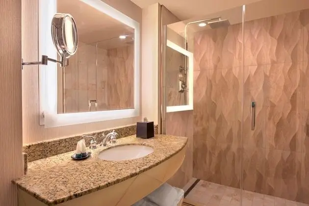 Oda, 1 En Büyük (King) Boy Yatak, Göl Manzaralı