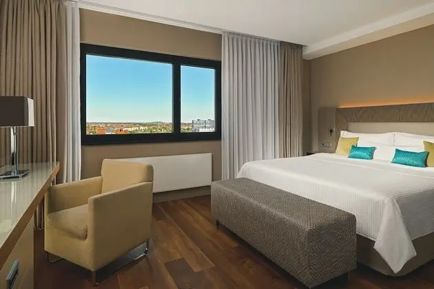 Executive Süit, 1 Yatak Odası, Şehir Manzaralı