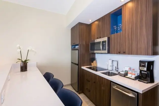 Stüdyo, 1 En Büyük (King) Boy Yatak ve Çekyat, Balkon, Okyanus Manzaralı